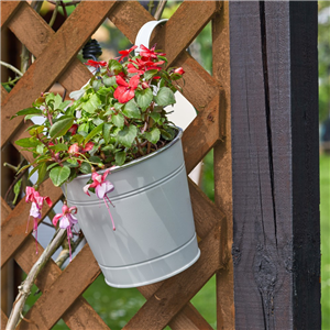 Fence & Balcony Pot